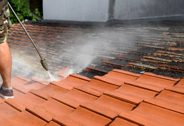 Best Residential Pressure Washing Services  in Penitas, TX