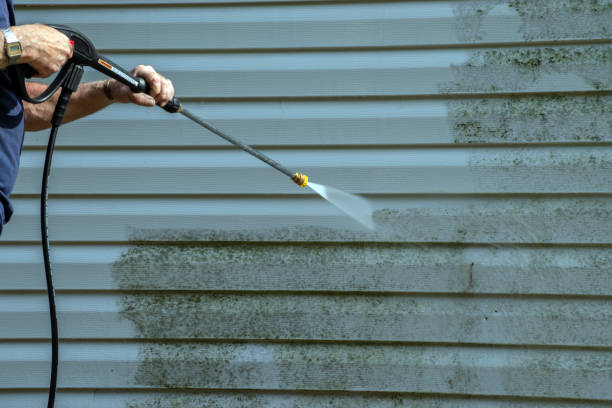 Pressure Washing Contractors in Penitas, TX