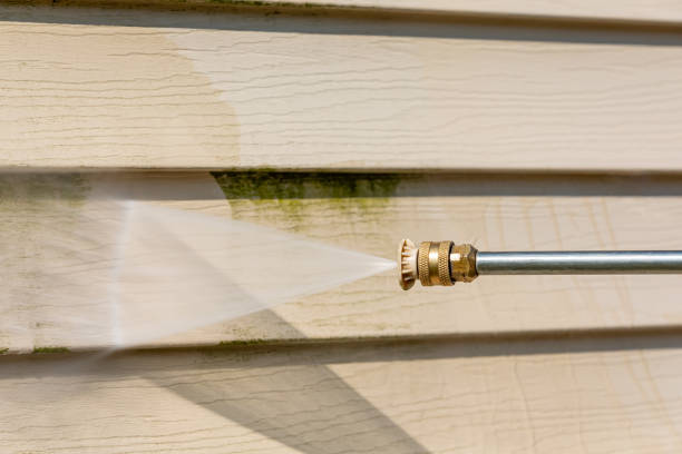 Best Local Pressure Washing Services  in Penitas, TX